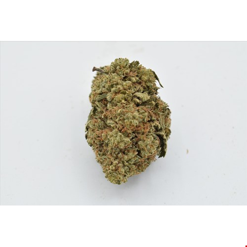 Pink Gelato (Hybrid) - SALE 1 OZ $55